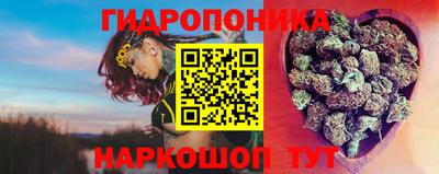прущая мука Кимры