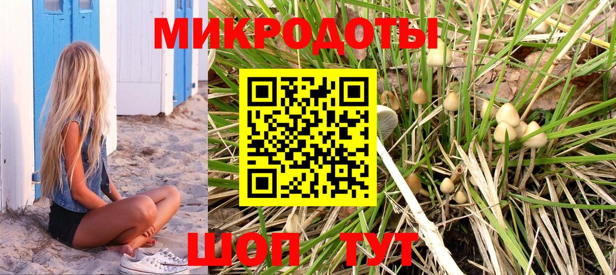 Кудрово  Псилоцибиновые грибы Magic Shrooms  Вход с VPN 
